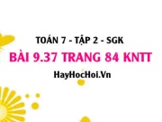 Bài 9.37 trang 84 Toán 7 Tập 2 Kết nối tri thức